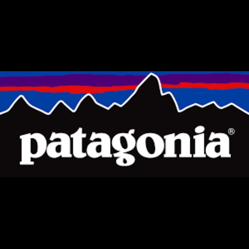 NWT Patagonia shorts